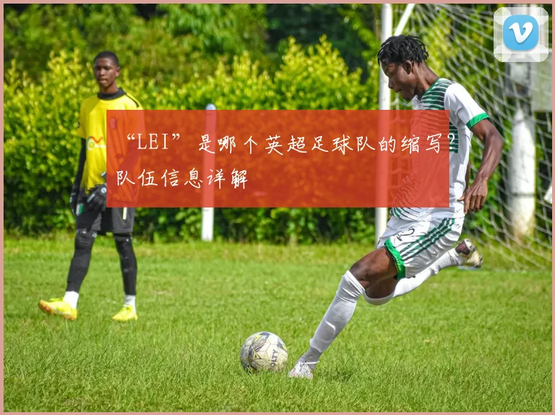 “LEI”是哪个英超足球队的缩写？队伍信息详解