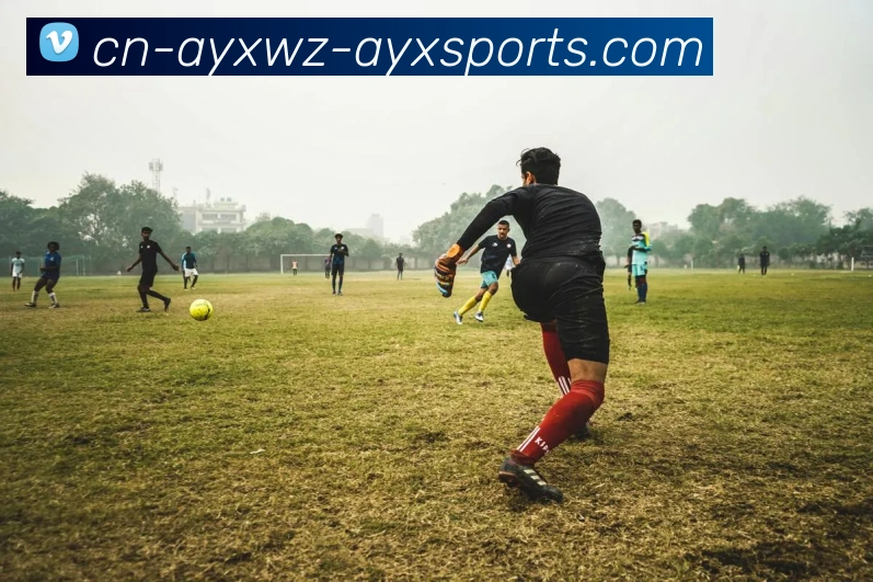 爱游戏平台生态图