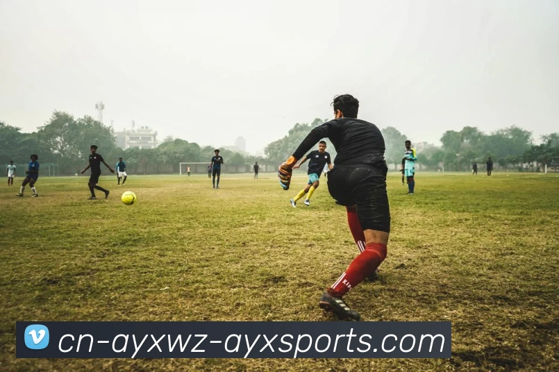 爱游戏APP 封面图