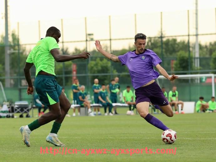 爱游戏体育-法甲球员2024-2025赛季攻守平衡能力分析